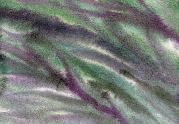 Hand Painted Watercolor Background for Branding