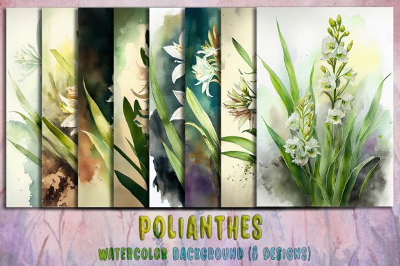 Polianthes Watercolor Background Bundle Review
