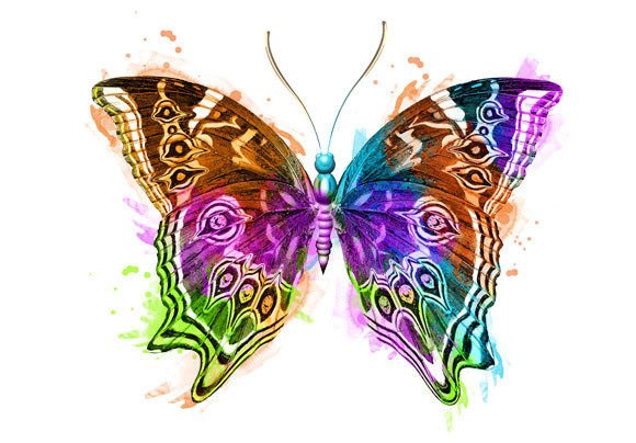 Watercolor Butterfly 4: A Designer’s Practical Review