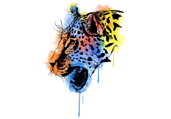 Watercolor Graphic Leopard 3: A Designer’s Honest Take for Real Embroidery Use